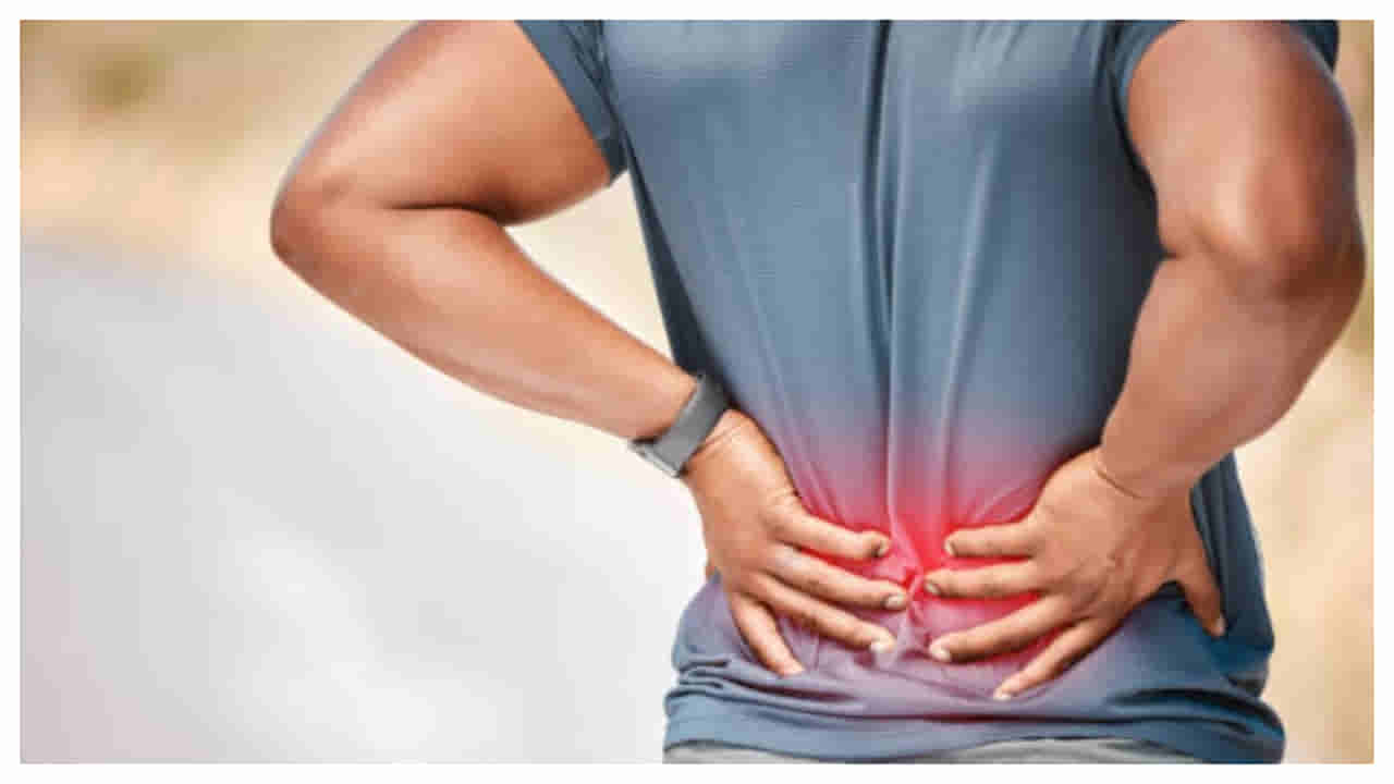 Tips for Back Pain: ఫాస్ట్గా వెన్ను నొప్పిని దూరం చేసే సింపుల్ వ్యాయామాలు ఇవే!