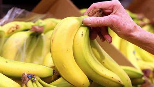Banana Price: అరటి సాగుకు పెను ముప్పుగా అధిక ఉష్ణోగ్రతలు.. ప్రపంచ వ్యాప్తంగా అరటి పండ్ల ధరలు పైపైకి!