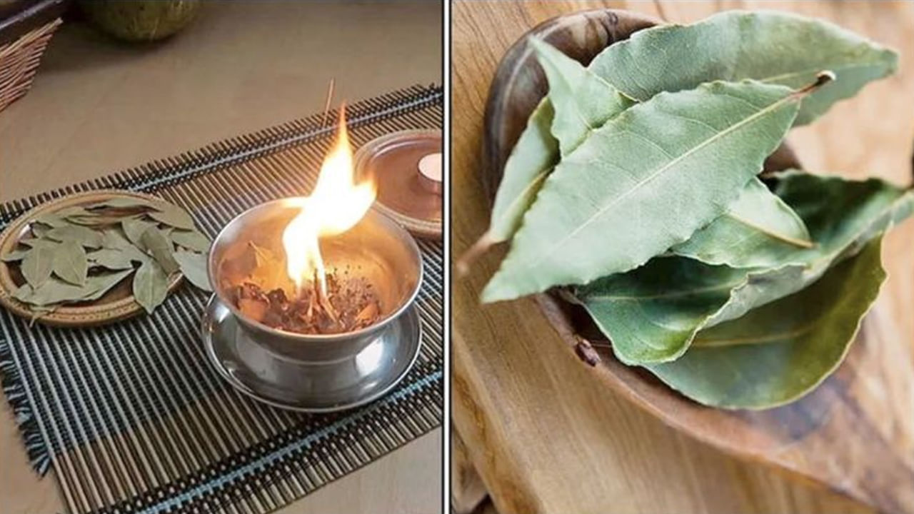 Bay Leaf Burn: బిర్యానీ ఆకును ఇంట్లో కాల్చి చూడండి.. జరిగే అద్భుతాలను నమ్మలేరు..! నిజమండోయ్..