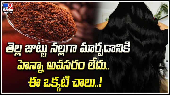 Coffee Benefits: తెల్ల జుట్టు నల్లగా మార్చడానికి హెన్నా అవసరం లేదు.. ఈ ఒక్కటి చాలు..! Coffee Benefits: తెల్ల జుట్టు నల్లగా మార్చడానికి హెన్నా అవసరం లేదు.. ఈ ఒక్కటి చాలు..!