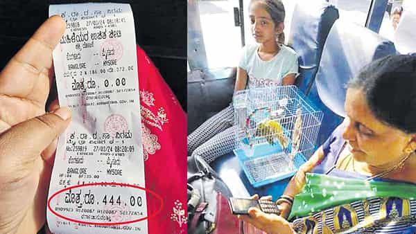 బస్సులో మహిళలకు ఫ్రీ.. చిలుకలకు మాత్రం టికెట్.. నెట్టింట షేక్ చేస్తున్న ఇష్యూ..