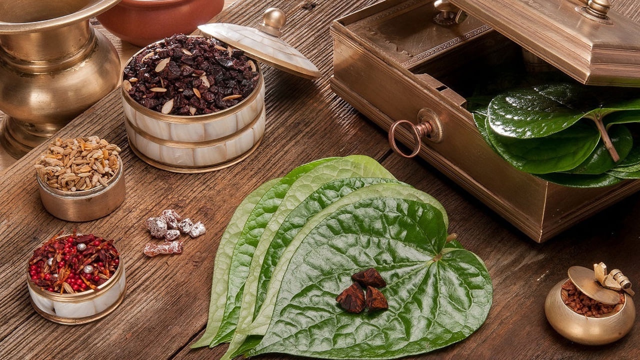 Benefits Of Betel Leaf క్యాన్సర్‌ కరకాలను పారదోలడంతో తమలపాకు భేష్‌ మీరూ తినండి Telugu News 4964