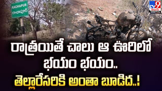 Watch Video: సమ్మర్‌ కదా అని కూల్‌డ్రింక్స్‌ ఎక్కువ తాగేస్తున్నారా..? ఈ విషయం తెలిస్తే.. వణుకు పుట్టాల్సిందే..