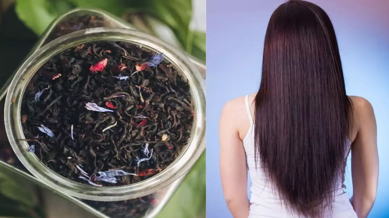 Black Tea For Hair: అందమైన, ఆరోగ్యకరమైన హెయిర్‌ కోసం బ్లాక్ టీ..! ఇలా వాడితే తెల్ల జుట్టు నల్లగా మారడం గ్యారెంటీ..!!