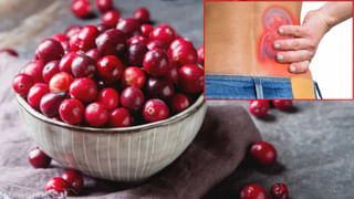 Oats Masala Vada: ఓట్స్‌తో ఇలా మసాలా వడ చేయండి.. టేస్ట్ అదిరిపోతుందంతే!