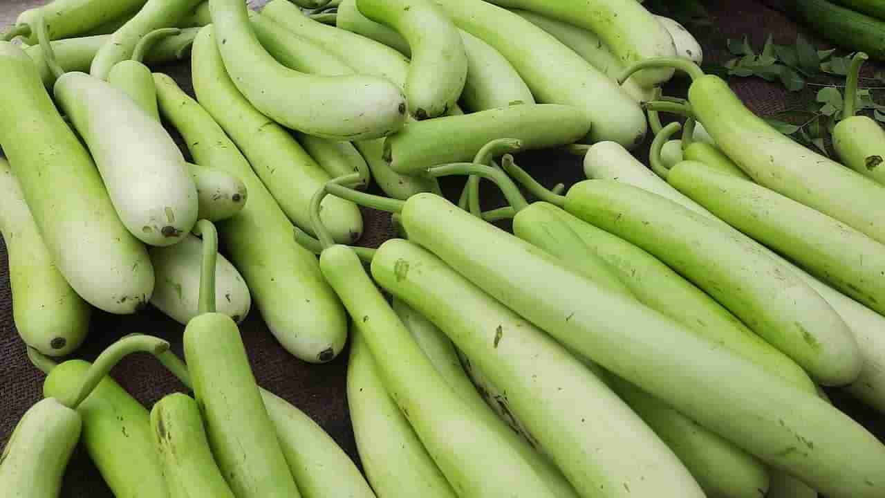 Bottle Gourd: సొరకాయ తింటే చర్మం మెరిసిపోతుంది.. ఇంకా ఎన్నో బెనిఫిట్స్!