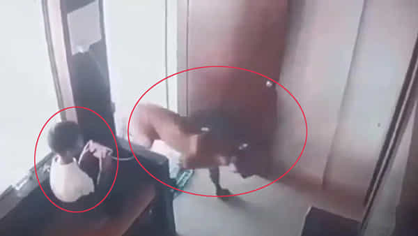 Viral Video: ఫోన్లో గేమ్ ఆడుకుంటున్న బాలుడు.. స్లోగా ఎంట్రీ ఇచ్చిన చిరుత.. కట్ చేస్తే..