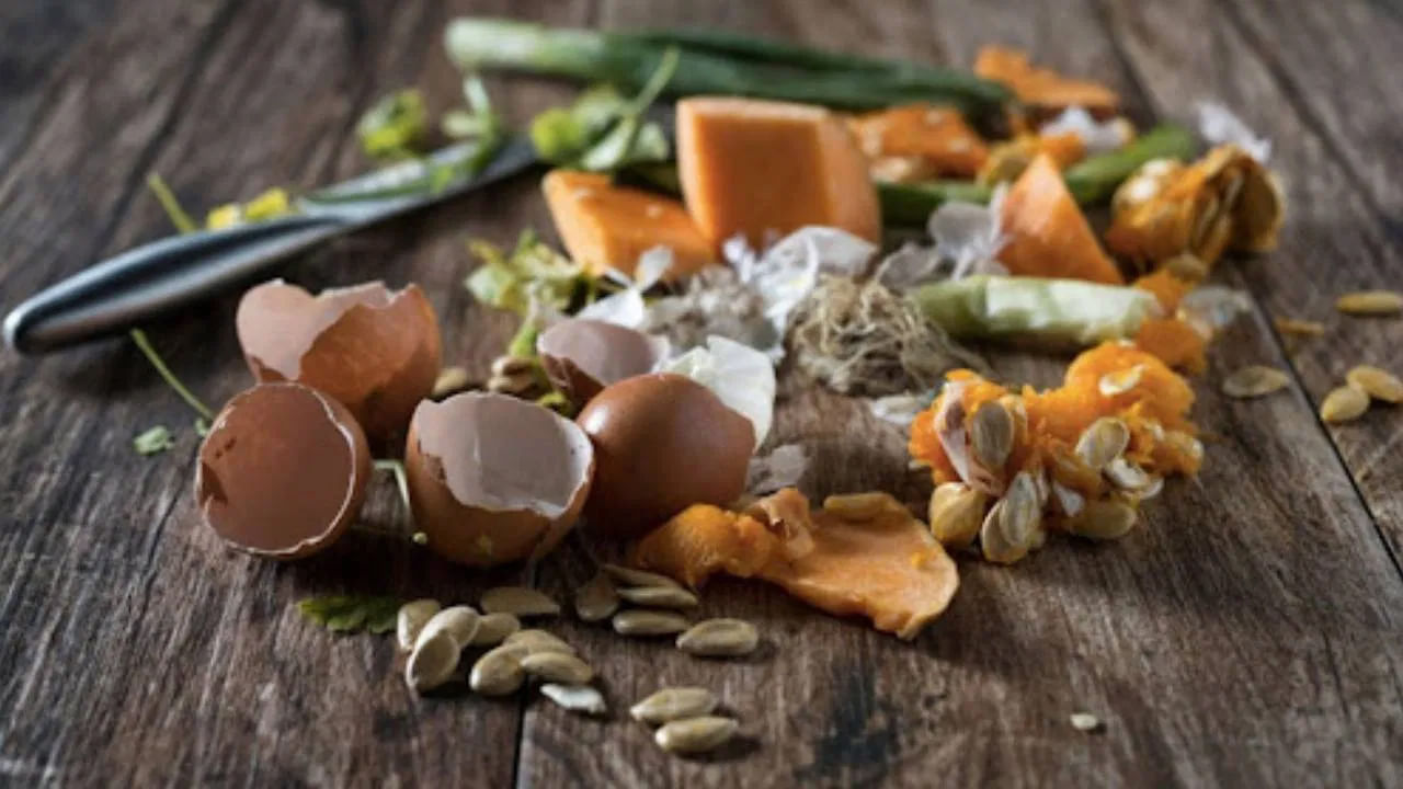 బ్రెయిన్‌ హెల్త్‌ కోసం అధిక డబ్బుతో ఖరీదైన ఆహారాన్ని కొనుగోలు చేయాల్సిన అవసరం లేదు. వృధాగా పడేసే కూరగాయల భాగాలతో కూడా మీ మెదడు ఆరోగ్యాన్ని చాలా జాగ్రత్తగా చూసుకోవచ్చు. పోషకాహార నిపుణుడు నమామి అగర్వాల్ ఇటీవల సోషల్‌ మీడియాలో ఓ విషయాన్ని వెల్లడించారు. అదేంటంటే..