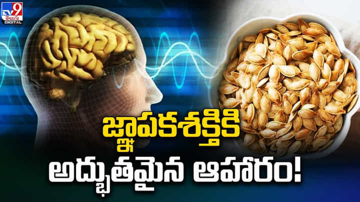 మెదడు చురుకుగా పనిచేయడానికి అద్భుత ఆహారాలు మెదడు చురుకుగా పనిచేయడానికి అద్భుత ఆహారాలు