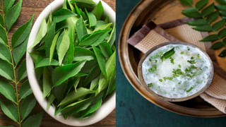 Lifestyle: కడుపు నొప్పిని లైట్ తీసుకుంటున్నారా.? ఈ వ్యాధి లక్షణం కావొచ్చు..