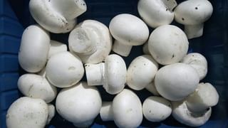 Sleep: తెలుసా..? 61 శాతం భారతీయులు నిద్రలేమితో బాధపడుతున్నారట! కారణం ఏమిటంటే