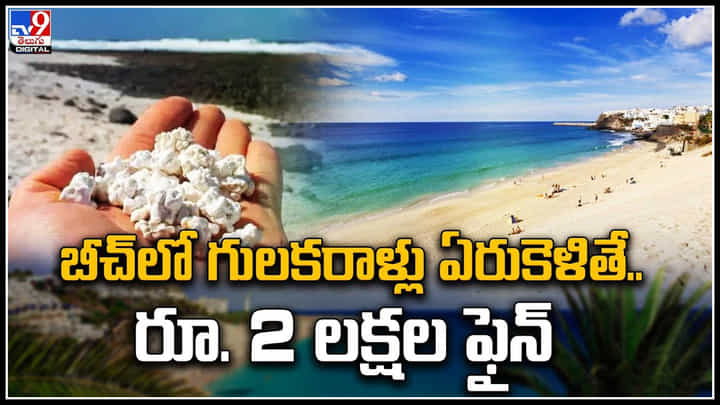 Canary Islands: బీచ్లో గులకరాళ్లు ఏరుకెళితే.. రూ. 2 లక్షల ఫైన్.! Canary Islands: బీచ్లో గులకరాళ్లు ఏరుకెళితే.. రూ. 2 లక్షల ఫైన్.!