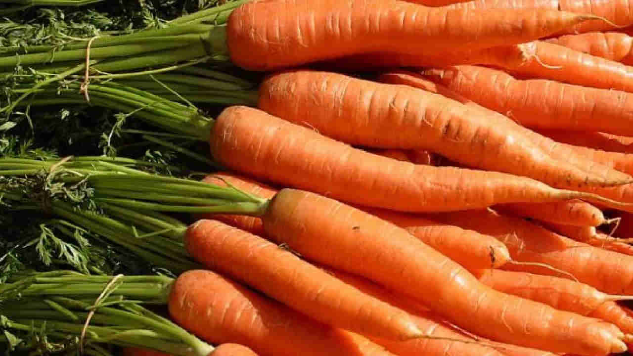International Carrot Day: క్యారెట్‌‌ గురించి మీకు తెలియని రహస్యాలు ఇవే!