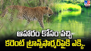 AP News: ఏపీ రాజకీయాల్లో కాకరేపుతోన్న ప్రధాని మోదీ కామెంట్స్.. ఎవరు మిత్రులు.? ఎవరు శత్రువులు.?