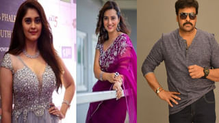 Chaitanya Krishna: మరో కొత్త సినిమా సైన్ చేసిన నందమూరి చైతన్య కృష్ణ.. డైరెక్టర్ ఎవరంటే..