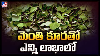 Microplastics: తల్లిపాలలో ప్లాస్టిక్ రేణువులు.. సర్వేలో షాకింగ్ విషయాలు.