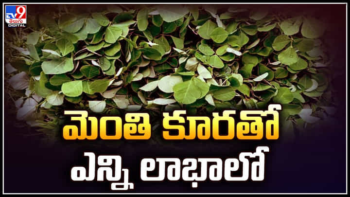 Fenugreek: మెంతికూరతో ఎన్ని లాభాలో తెలిస్తే ఆశ్చర్యపోతారు.! వీడియో Fenugreek: మెంతికూరతో ఎన్ని లాభాలో తెలిస్తే ఆశ్చర్యపోతారు.! వీడియో