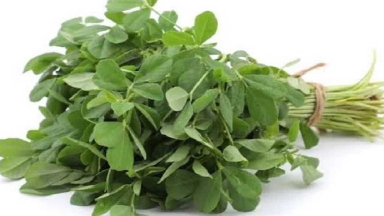 Diabetes ఈ ఆకు తింటే డయాబెటిస్‌కు ఓం బీమ్ బుష్.. రోగానికి