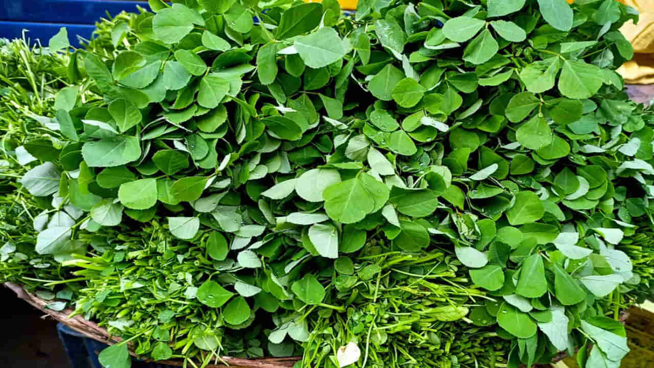 Fenugreek leaves benefits: మెంతి కూరతో మతి పోగొట్టే లాభాలు.. ఇలా వాడితే వాటికి చెక్‌ పెట్టొచ్చు..!