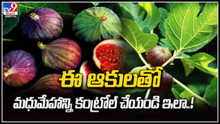 Huge Snake Carcass: వైజాగ్‌ బీచ్‌లో వింత జీవి.! హడలిపోయిన స్థానికులు.. వీడియో.