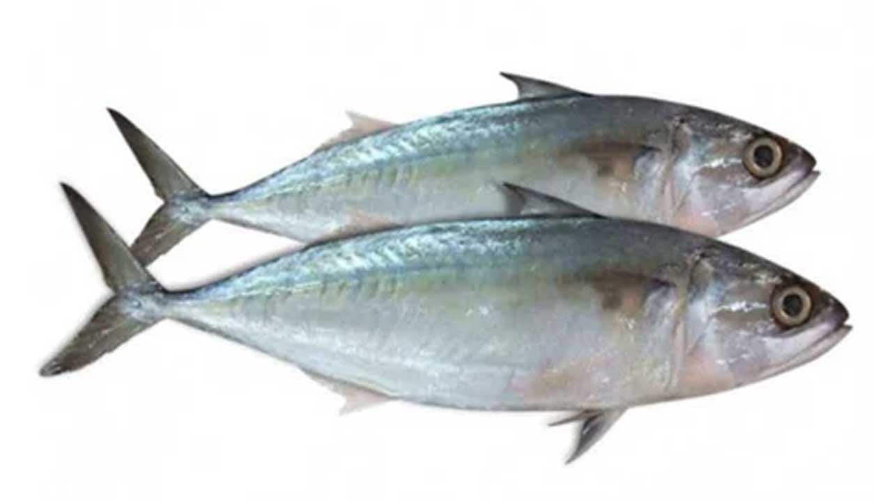 అందరిచూపు జలపుష్పాల వైపు.. ఆరోగ్యం కోసం మనసు మార్చుకుంటున్న జనం.. చేపల ...