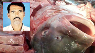 Heat Wave: మండుతున్న ఎండలు.. తెలంగాణలో 44 డిగ్రీల పైనే ఉష్ణోగ్రతలు, ఆ జిల్లాలు అలర్ట్