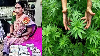 Delhi Liquor Case: లిక్కర్‌ కేసులో కవిత అరెస్ట్‌పై ఈడీ అధికారులతో కేటీఆర్‌ వాగ్వివాదం