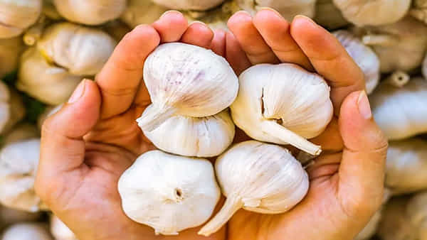 Garlic: వెల్లుల్లి తింటే మగవారికి సూపర్ బెనిఫిట్స్.. వీర్యం..