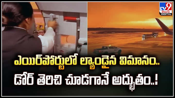 Watch Video: ఎయిర్పోర్టులో ల్యాండైన విమానం.. డోర్ తెరిచి చూడగానే అద్భుతం.! Watch Video: ఎయిర్పోర్టులో ల్యాండైన విమానం.. డోర్ తెరిచి చూడగానే అద్భుతం.!