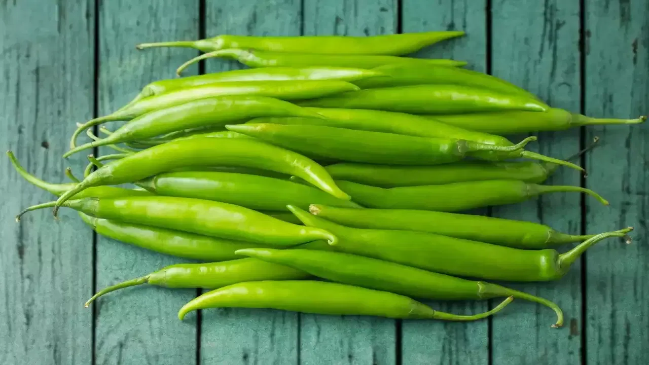 పచ్చి మిర్చిలో క్యాప్రైసిన్ ఉంటుంది. ఇది జీర్ణ క్రియను మెరుగు పరచడంలో ఎంతో సహాయ పడుతుంది. అంతే కాకుండా విటమిన్ సి ఉంటుంది. పచ్చి మిర్చి తరచూ తింటే.. గాయాల వల్ల వచ్చే నొప్పి తగ్గుతుంది.