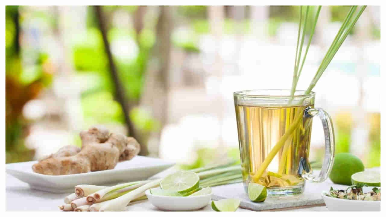 Green Tea Vs Lemongrass Tea: గ్రీన్ టీ Vs లెమన్ గ్రాస్ టీ.. ఏది తాగితే త్వరగా బరువు తగ్గుతారు?