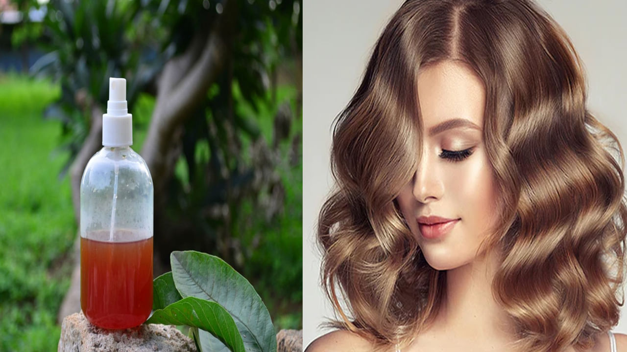 Guava Leaves For Hair : జామ ఆకులతో ఇలా చేస్తే.. నెల రోజుల్లోనే తెల్లజుట్టు నల్లగా, ఒత్తుగా పెరుగుతుంది..