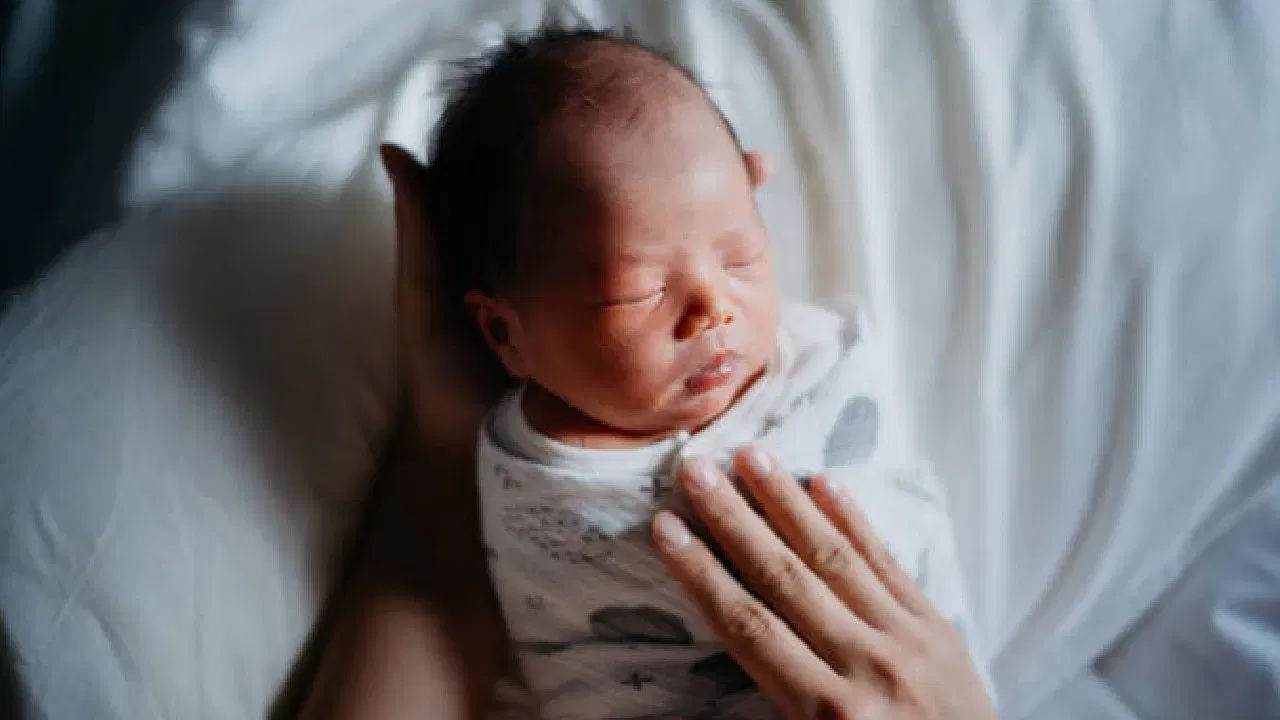 కొబ్బరి నూనె కూడా చాలా పిల్లల జుట్టుకు చాలా మంచిది. ఇది పిల్లల సున్నితమైన చర్మానికి, తలకు అనుకూలంగా ఉంటుంది. ఇందులో మాయిశ్చరైజింగ్ గుణాలు ఎక్కువగా ఉంటాయి. అదే విధంగా ఆలివ్ ఆయిల్, అవకాడో ఆయిల్ కూడా చాలా మంచివి.
