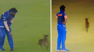 IPL 2024 Playoffs Schedule: ప్లే ఆఫ్స్, ఫైనల్ షెడ్యూల్ ఇదే..