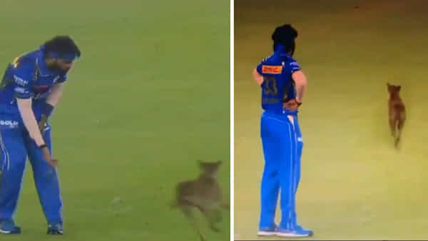 MI Vs GT: అయ్యో.! అయ్యయ్యో.. హార్దిక్ను మరీ ఇంత నీచంగానా.. స్టేడియంలోకి కుక్క ఎంట్రీతో..
