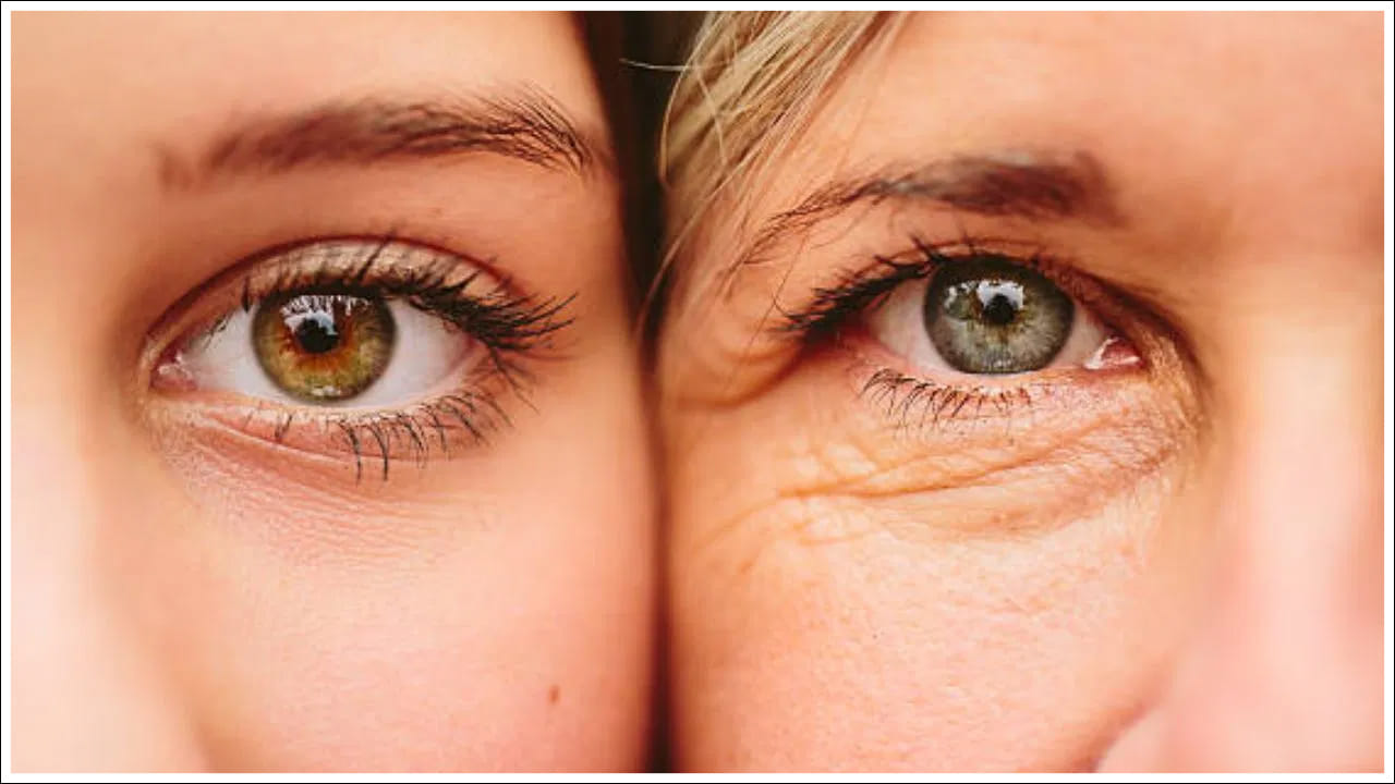 చర్మాన్ని బొద్దుగా ఉంచడంలో ఆల్మండ్ ఆయిల్ మ్యాజిక్ లా పనిచేస్తుంది. అనేక చర్మ సంరక్షణ ఉత్పత్తులలో బాదం నూనె ఉంటుంది. చాలా మంది బాదం నూనెను మేకప్ రిమూవర్గా కూడా ఉపయోగిస్తారు. ఇప్పుడు ఈ నూనెతో వృద్ధాప్యాన్ని నివారించండి.