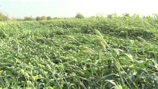 డాక్టర్ల నిర్లక్ష్యంతో పసికందు మృతి.. కుటుంబ సభ్యుల ఆందోళన..