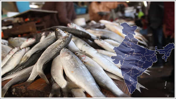 Fish Consumption: భారత్లో ఏ రాష్ట్రంలో ఎక్కువ మంది చేపలు తింటారో తెలుసా..? కీలక నివేదిక