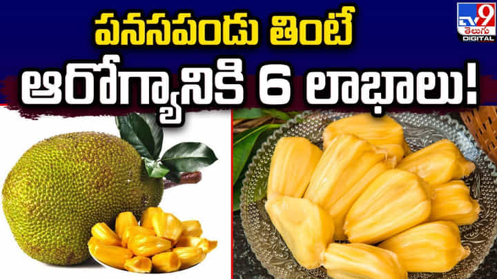 Jackfruit: పనసపండు తింటే ఆరోగ్యానికి 6 లాభాలు Jackfruit: పనసపండు తింటే ఆరోగ్యానికి 6 లాభాలు