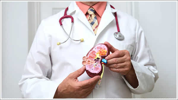 Kidney Disease: ప్రతి 10 మంది పిల్లల్లో ముగ్గురికి కిడ్నీ వ్యాధి.. చిన్న వయస్సులోనే ఎందుకు వస్తుంది?