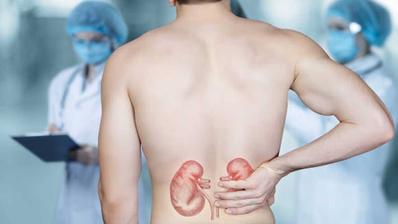 క్యాల్షియం అధికంగా ఉండే ఆహారం అవసరం.. కిడ్నీ సమస్యలు ఉంటే క్యాల్షియం అధికంగా ఉండే ఆహారాన్ని తినకూడదని చాలా మంది భావిస్తారు. కానీ కిడ్నీలు ఆరోగ్యంగా ఉండాలంటే కాల్షియం అధికంగా ఉండే ఆహారాలు అవసరం. కాల్షియం అధికంగా ఉండే ఆహారాలు మూత్రపిండాల ఆరోగ్యానికి మంచివిగా పరిగణిస్తారు. కిడ్నీ ఆరోగ్యానికి సోయా, బాదం పాలు, టోఫు, బలవర్థకమైన తృణధాన్యాలు తప్పకుండా తినండి.