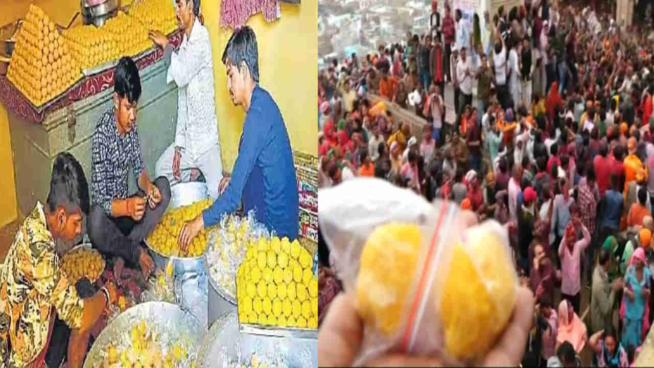 Laddu Holi 2024: నేడు బర్సానాలో లడ్డులతో హొలీ వేడుకలు.. భారీ సంఖ్యలో మధురకు చేరుకున్న కన్నయ్య భక్తులు