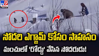 మొబైల్‌ గేమ్‌ ఆడుతున్న బాలుడు.. గదిలోకి ప్రవేశించిన చిరుత.. ఏం జరిగిందంటే ??