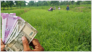 PAN Card: పాన్ కార్డ్ లేకపోతే ఏయే పనులు నిలిచిపోతాయి..?