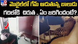 Weight Loss: ఇలా చేస్తే నిద్రలో కూడా ఈజీగా బరువు తగ్గుతారు..