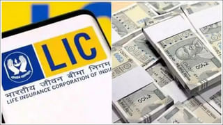 Holi Celebrations: ఆకాశంలో హోలీ.. విమానంలో సంబరాలు.. అదిరింది..