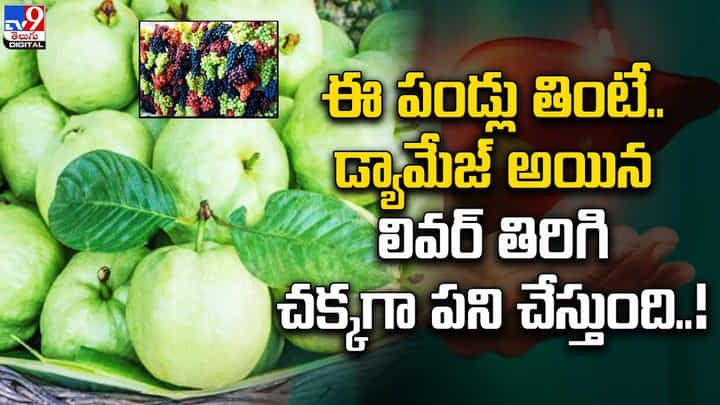 ఈ పండ్లు తింటే.. డ్యామేజ్ అయిన లివర్ తిరిగి చక్కగా పని చేస్తుంది ఈ పండ్లు తింటే.. డ్యామేజ్ అయిన లివర్ తిరిగి చక్కగా పని చేస్తుంది