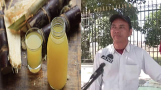 Green Lady: ఈ బామ్మకు గ్రీన్ కలర్ అంటే పిచ్చి.. ఏ రేంజ్‌లో అంటే ధరించే దుస్తుల నుంచి ప్రతిదీ ఆకుపచ్చగా ఉండాల్సిందే..