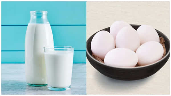 Egg or Milk: గుడ్డు- పాలు..ఇందులో ఆరోగ్యానికి ఏది ఎక్కువ ప్రయోజనకరం!