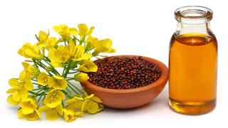 Lifestyle: నీళ్లు ఎక్కువ తాగితే కిడ్నీలకు ప్రమాదమా.? నిపుణులు ఏమంటున్నారంటే..